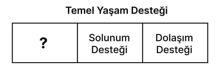 Soru görseli: Aşağıda soru işareti (?) ile gösterilen ve temel yaşam desteğinin 1. aşaması olan uygulama
