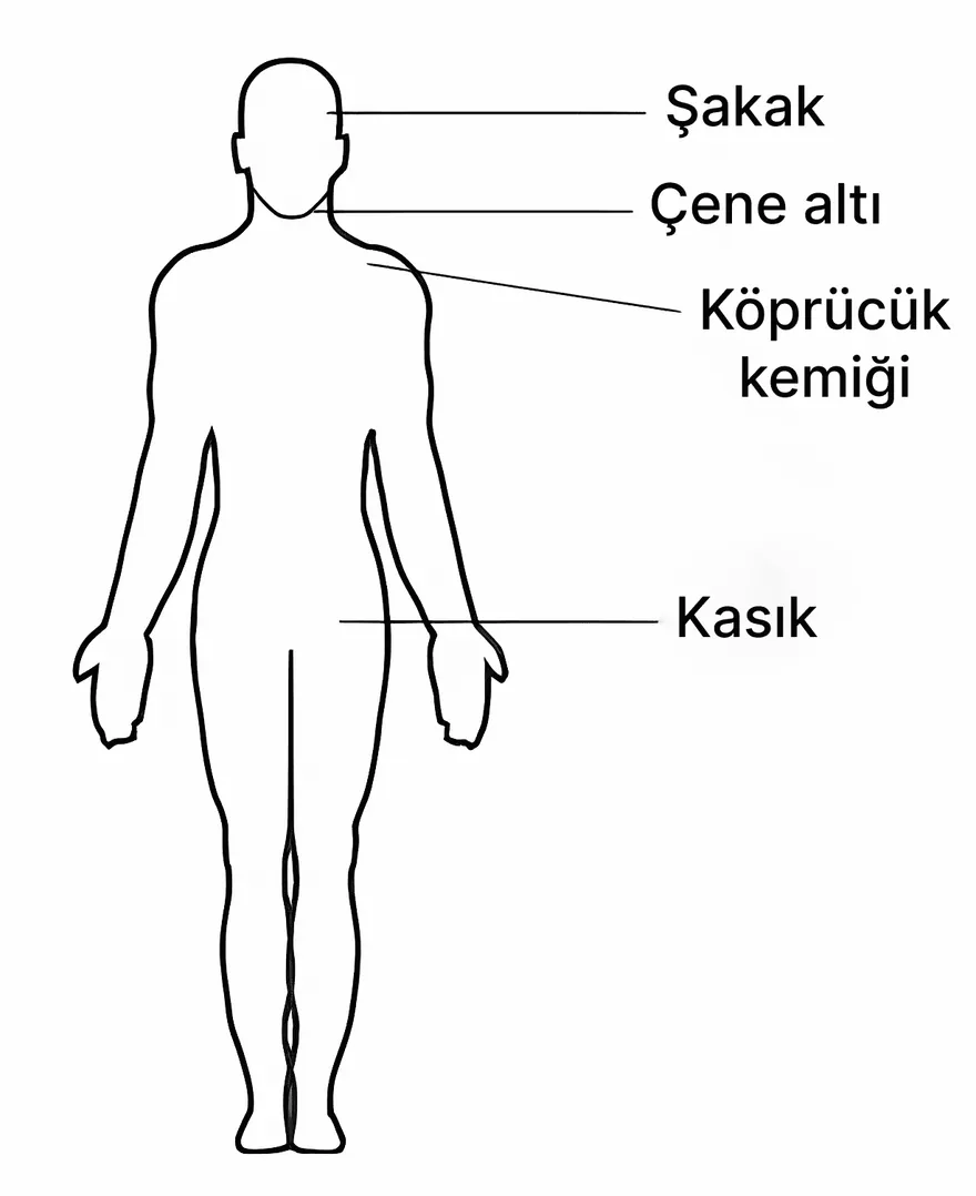 Soru görseli: Omuz ve koldaki kanamalarda, şekilde gösterilen hangi bölgeye basınç uygulanmalıdır?